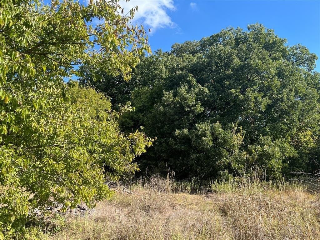3.43 acres in Hunt County - photo 8