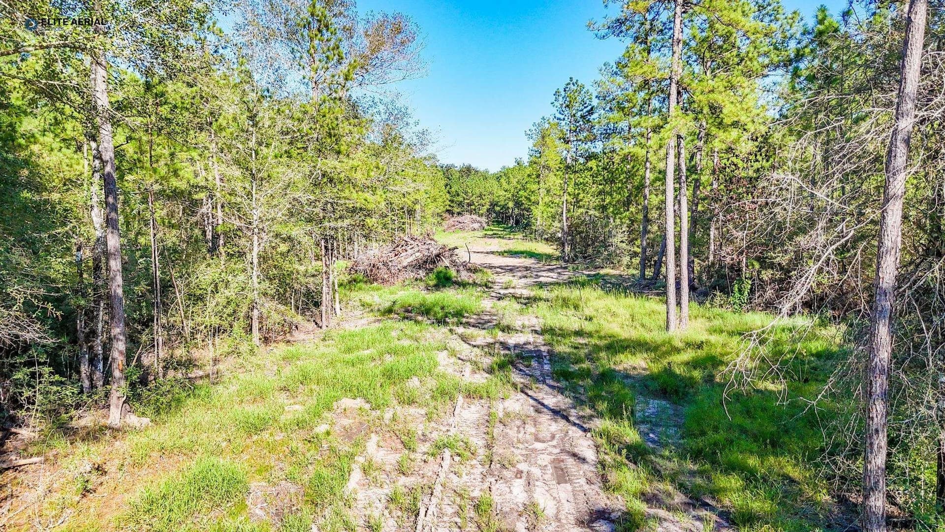 20 acres in Texas County - photo 13