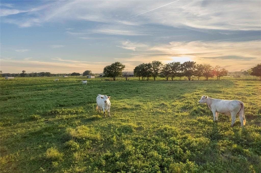 62.8 acres in Grayson County - photo 15
