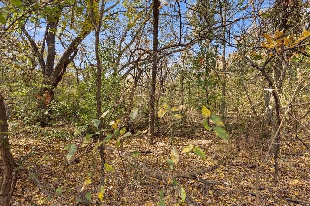 0.38 acres in Denton County - photo 6