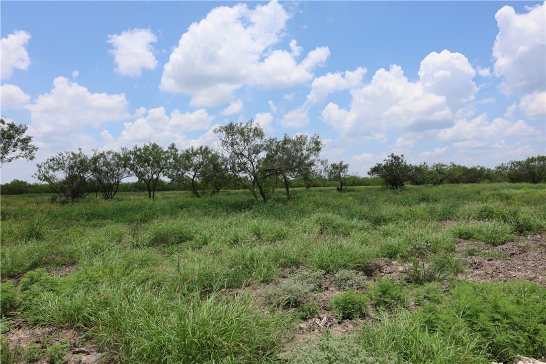 21.71 acres in Jim Wells County - photo 8