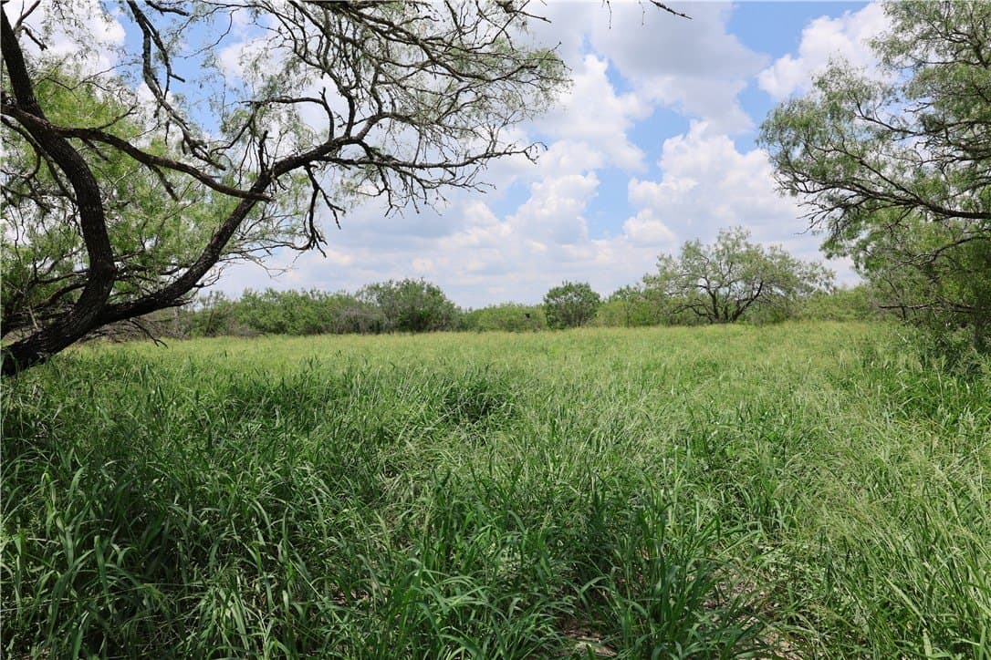 21.71 acres in Jim Wells County - photo 7