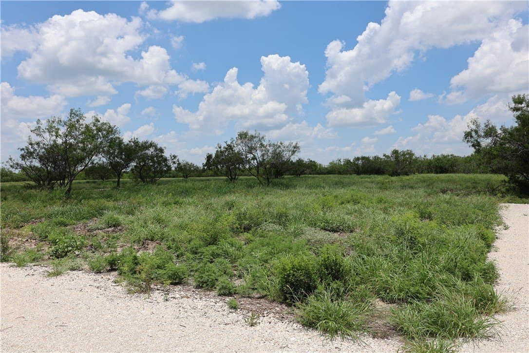 21.71 acres in Jim Wells County - photo 4