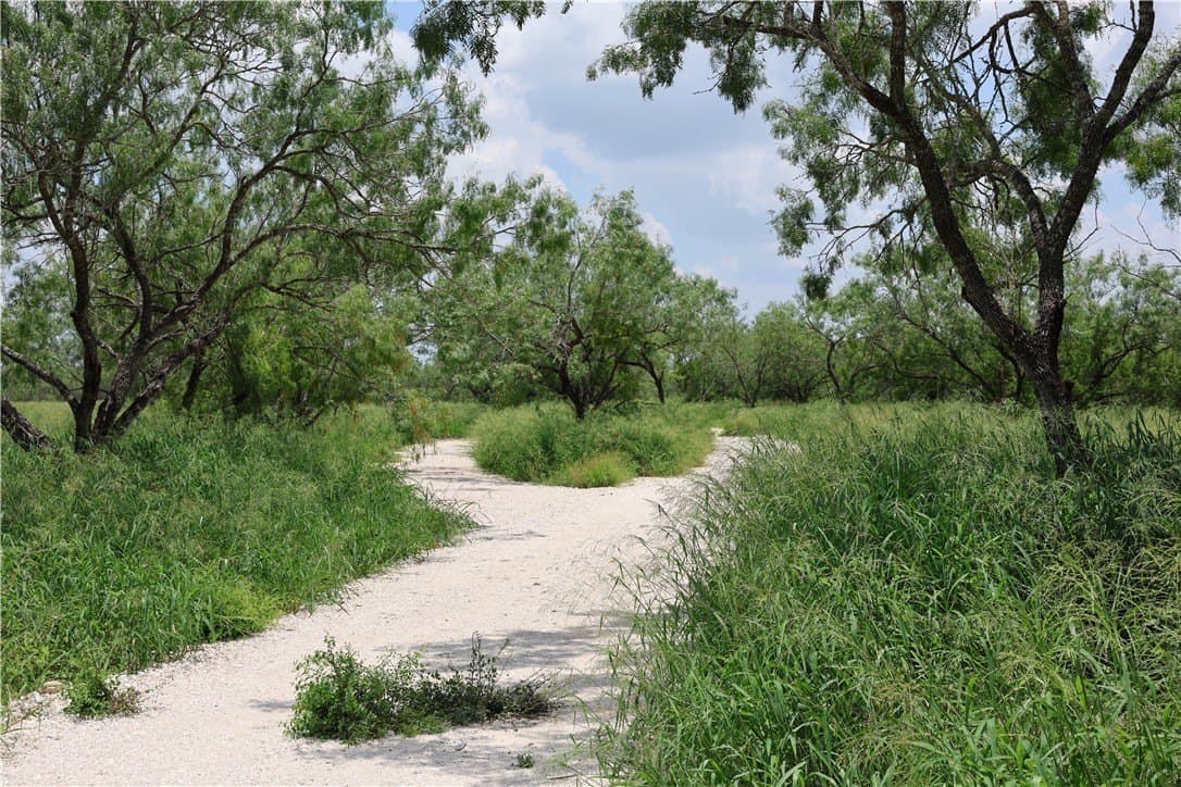 21.71 acres in Jim Wells County - photo 3