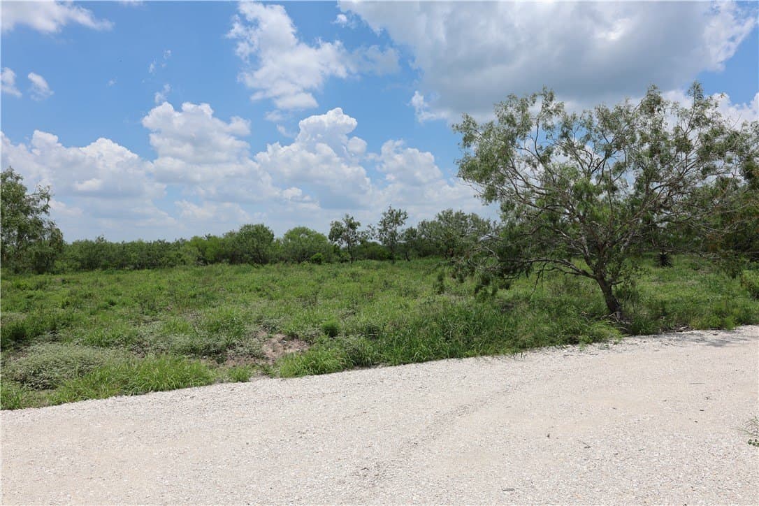 21.71 acres in Jim Wells County - photo 6