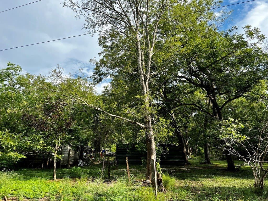 4.84 acres in Texas County - photo 10