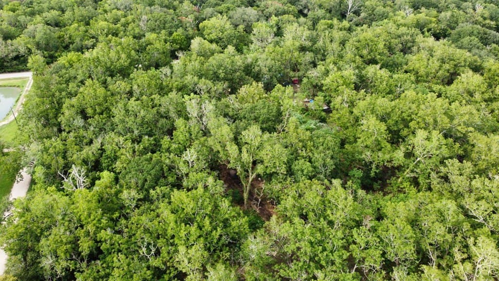 4.84 acres in Texas County - photo 4