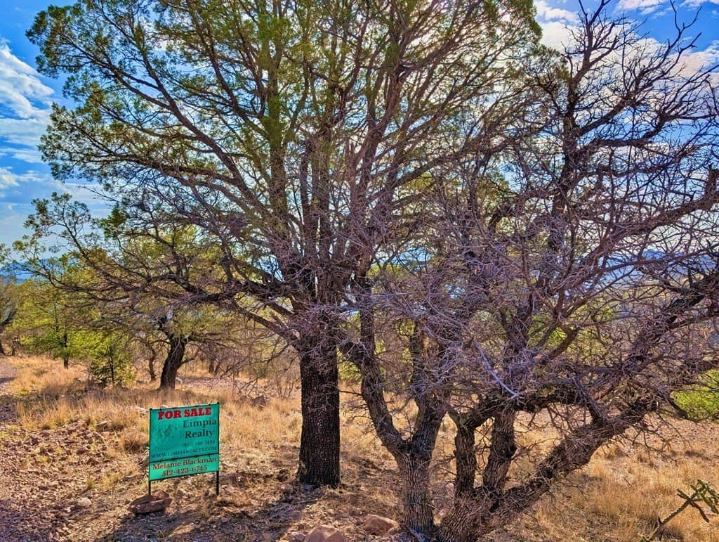 5.04 acres in Jeff Davis County - photo 2