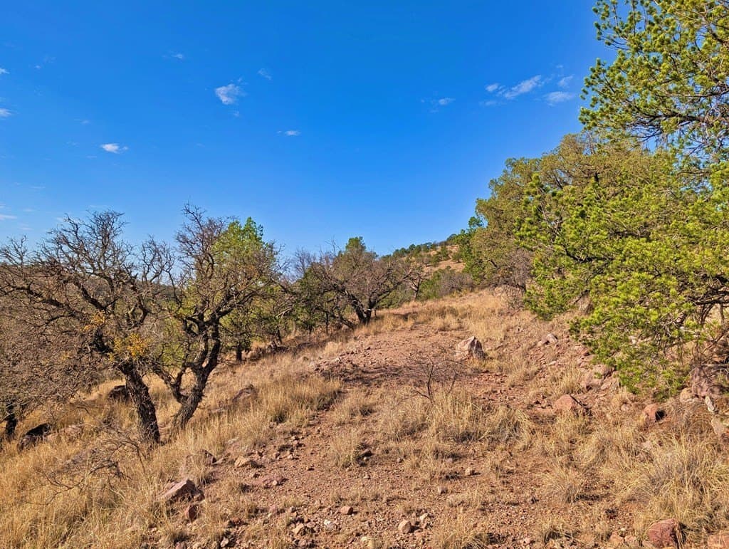 5.04 acres in Jeff Davis County - photo 5