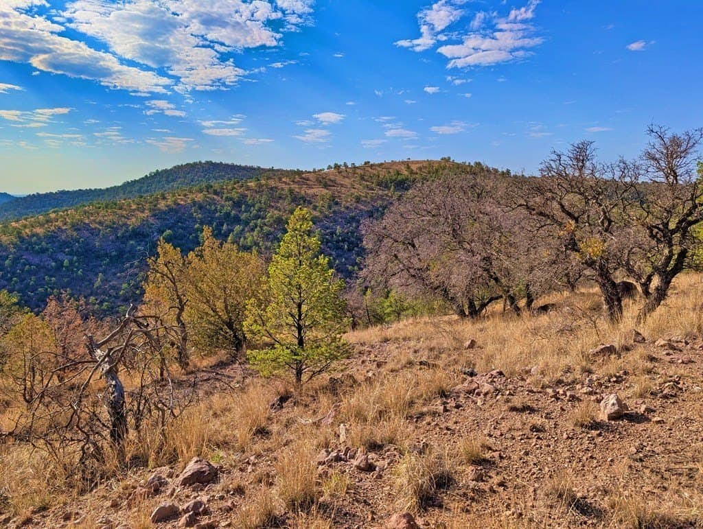 5.04 acres in Jeff Davis County - photo 3