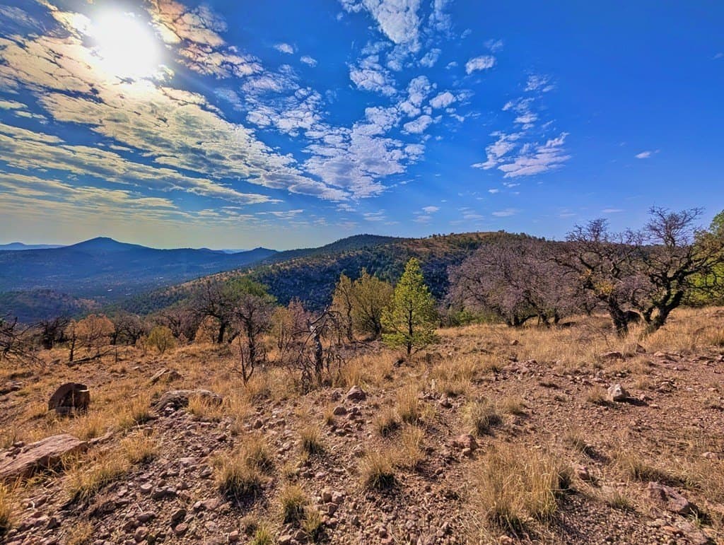 5.04 acres in Jeff Davis County - photo 4