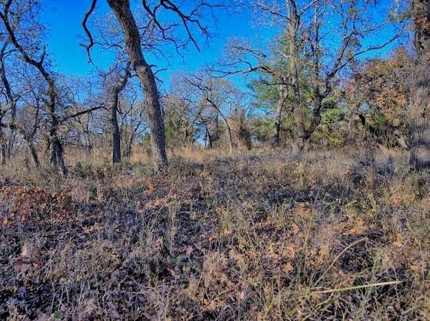 0.28 acres in Montague County - photo 5