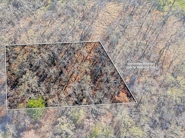 0.28 acres in Montague County - photo 21