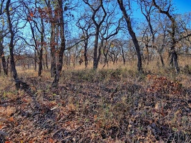 0.28 acres in Montague County - photo 6