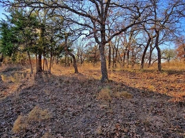 0.28 acres in Montague County - photo 2