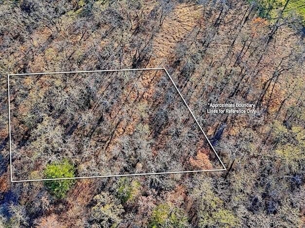 0.28 acres in Montague County - photo 22