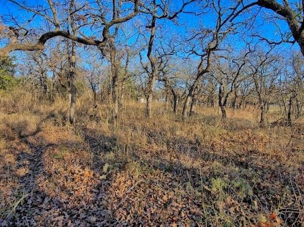 0.28 acres in Montague County - photo 4