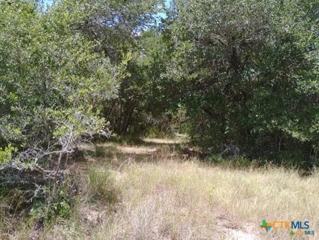 17.64 acres in Victoria County - photo 2