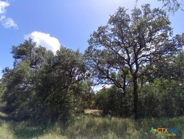17.64 acres in Victoria County - photo 6