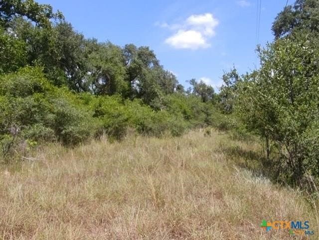 17.64 acres in Victoria County - photo 3