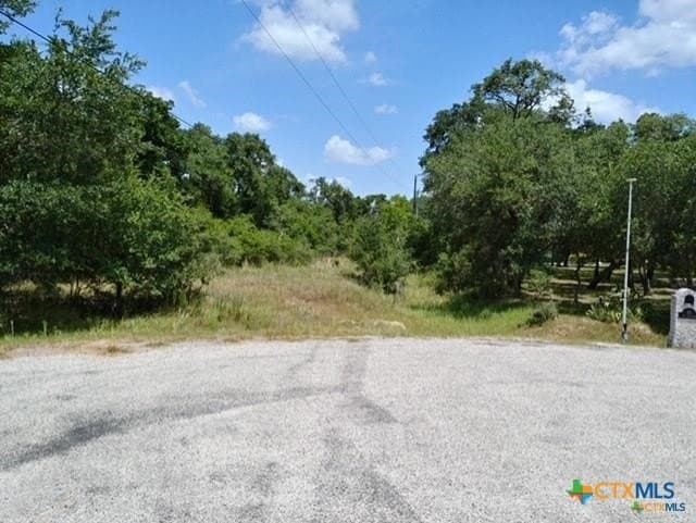 17.64 acres in Victoria County - photo 7