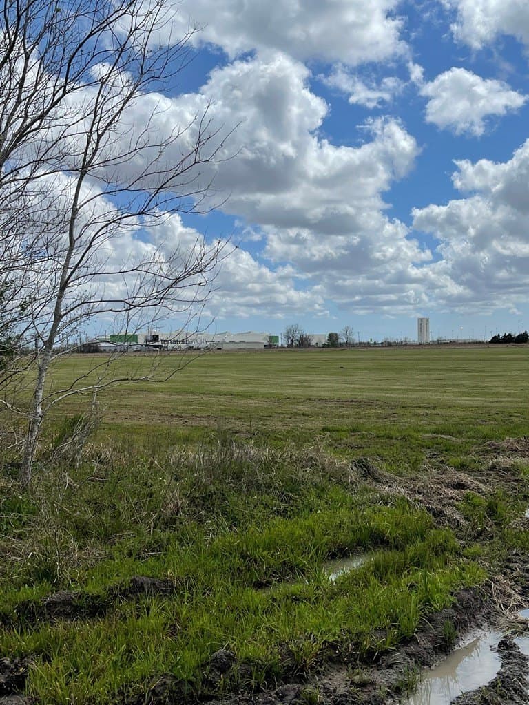 41.97 acres in Texas County - photo 4