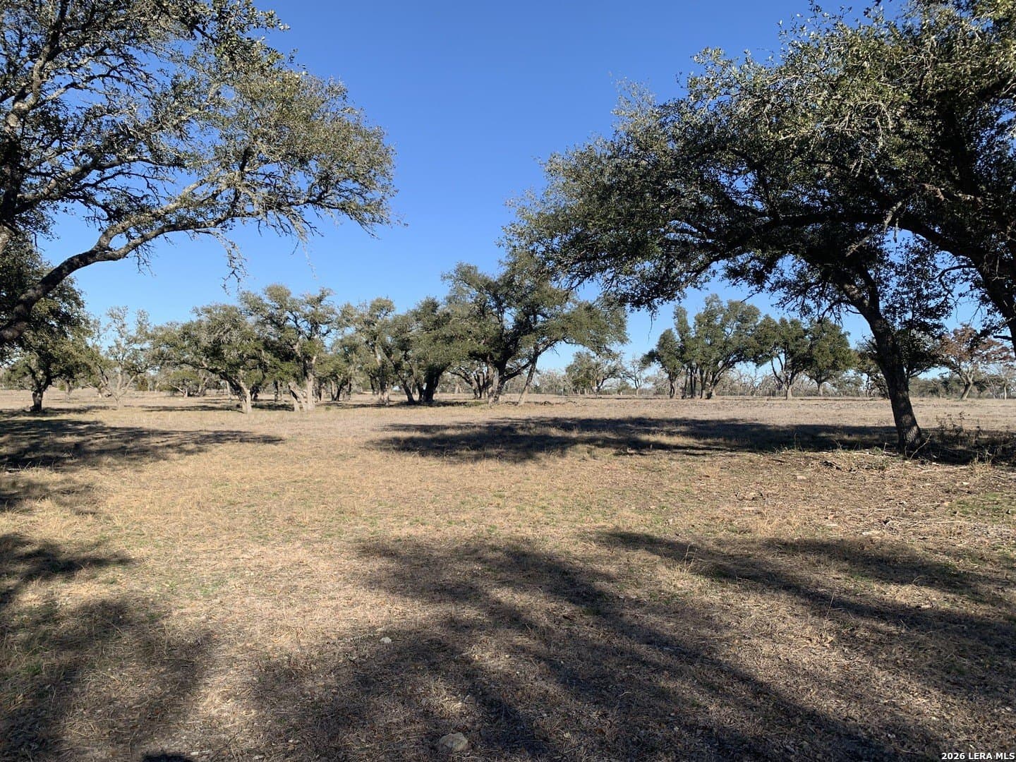 5.67 acres in Gillespie County - photo 3