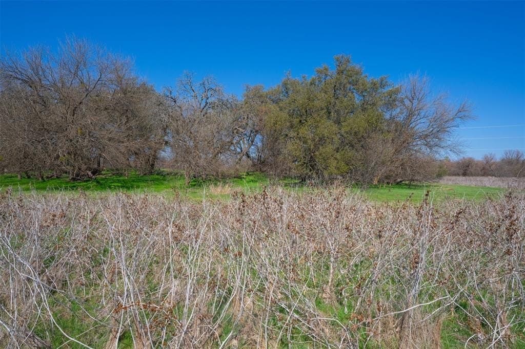 129 acres in Parker County - photo 37
