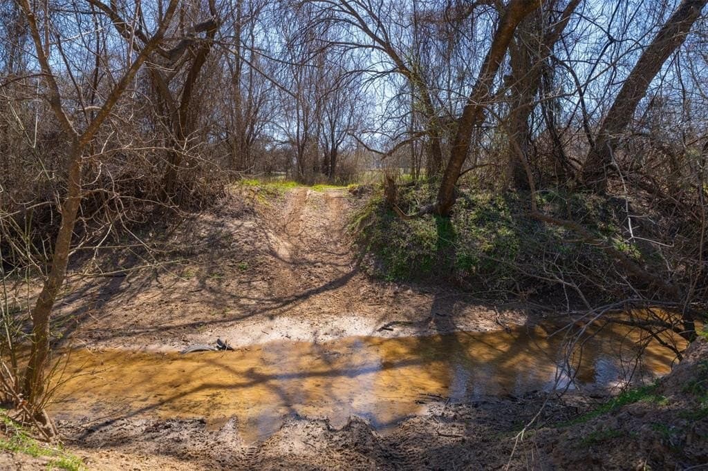 129 acres in Parker County - photo 25