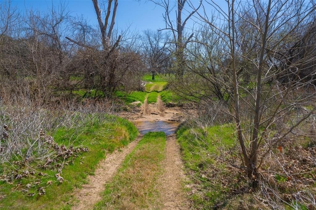 129 acres in Parker County - photo 38