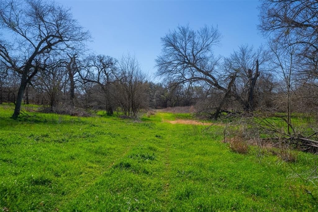 129 acres in Parker County - photo 22