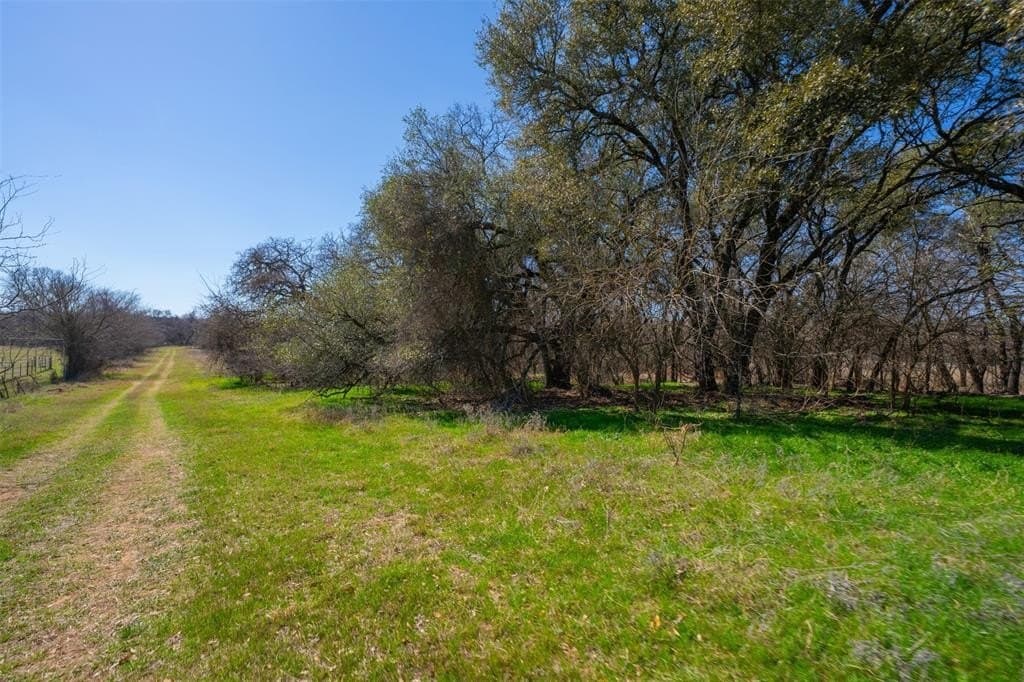 129 acres in Parker County - photo 23