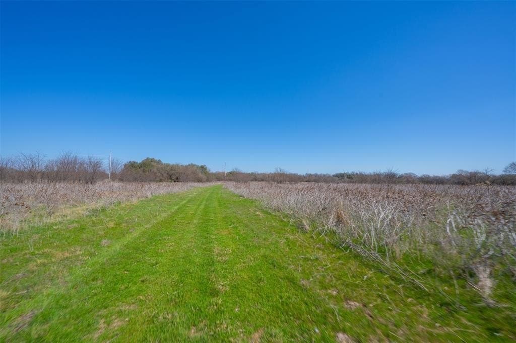 129 acres in Parker County - photo 36
