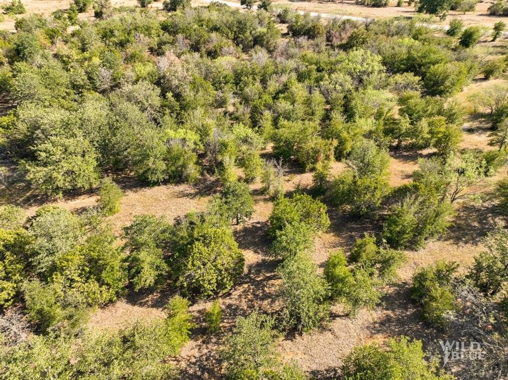 5.12 acres in Palo Pinto County - photo 13