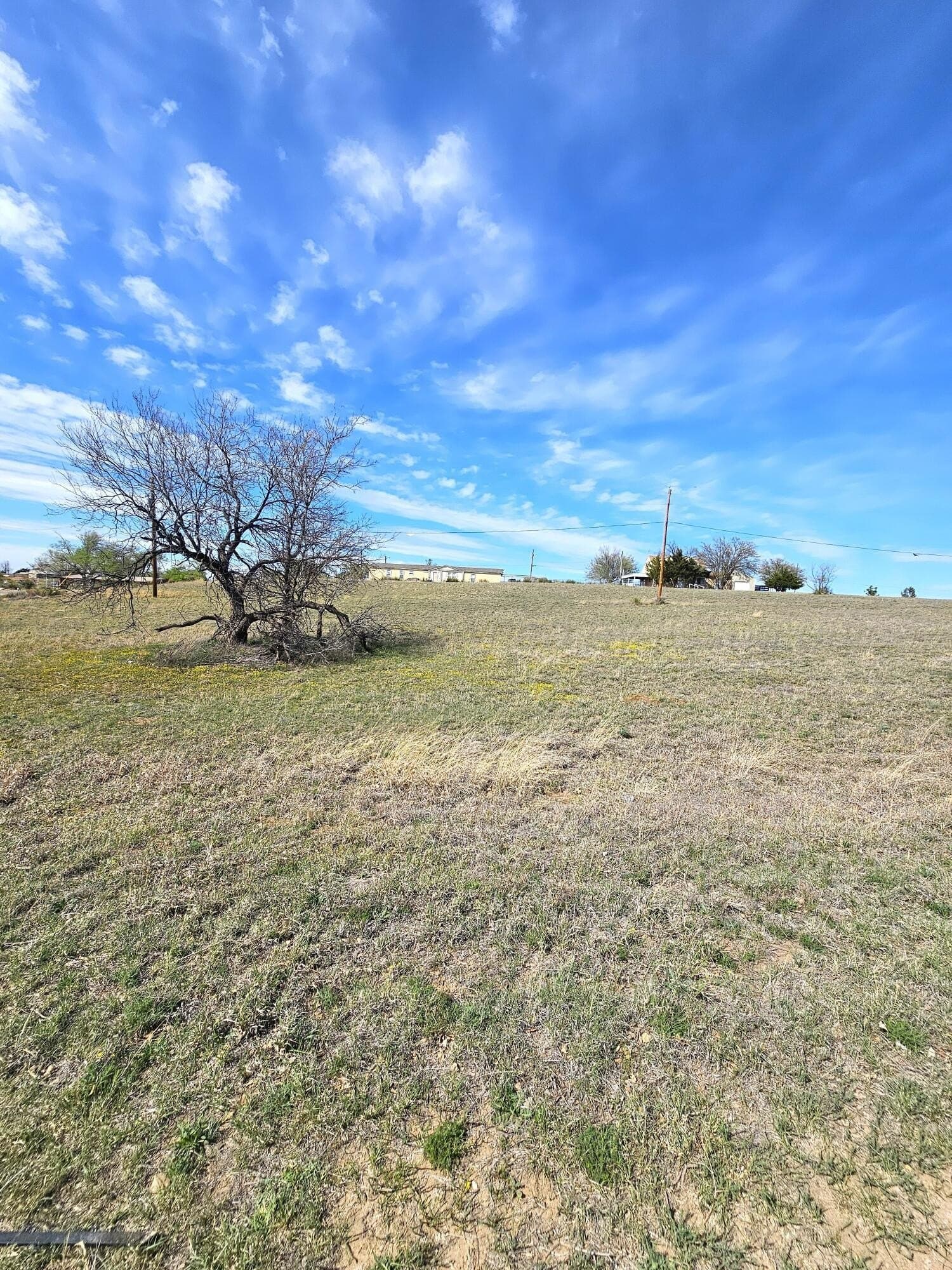 418 Dana Dr