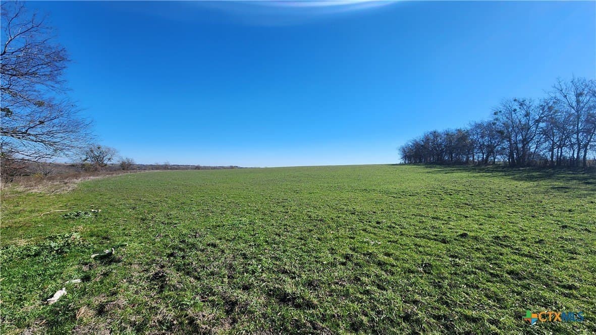 87 acres in Bell County - photo 9