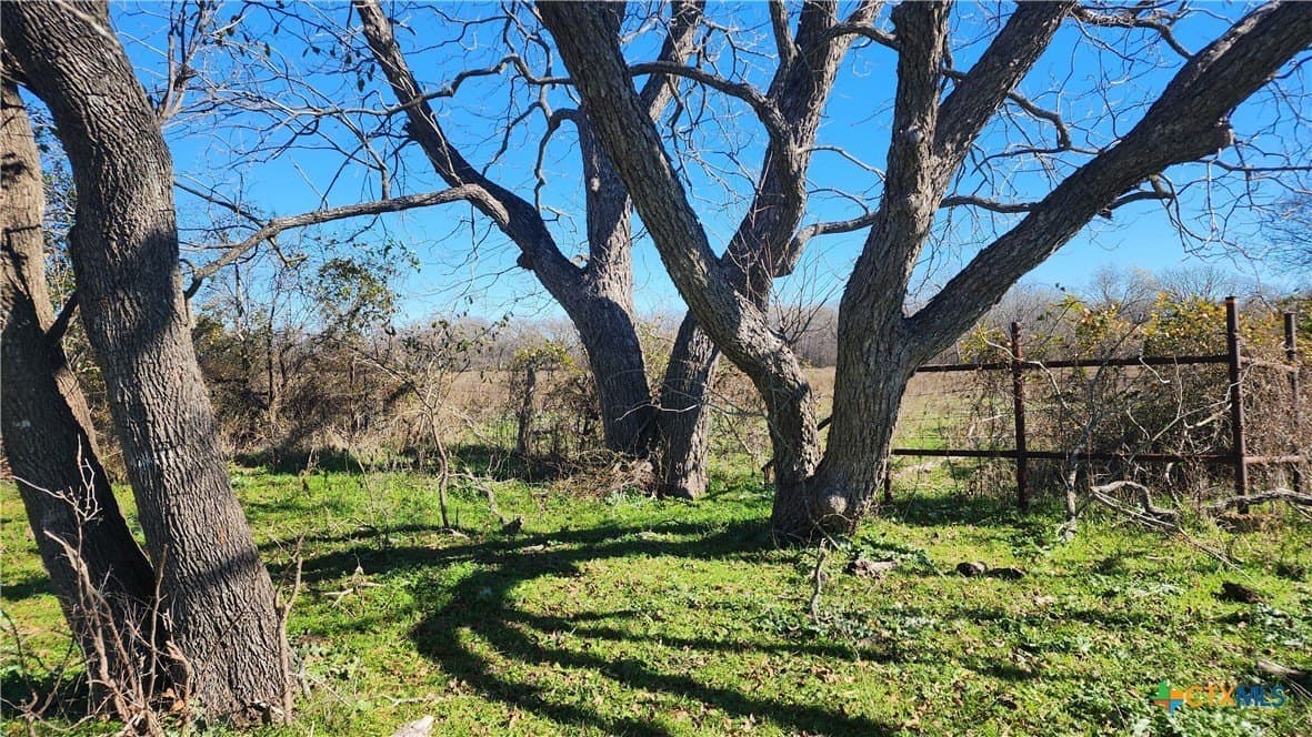 87 acres in Bell County - photo 25