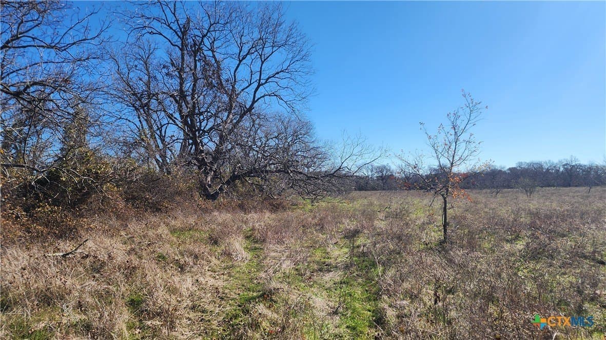 87 acres in Bell County - photo 20