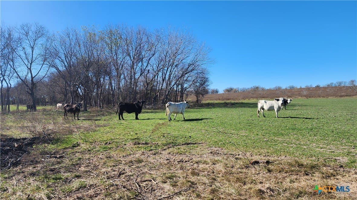 87 acres in Bell County - photo 31
