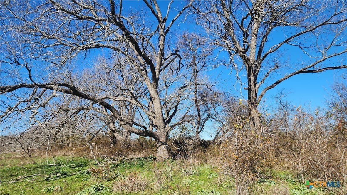 87 acres in Bell County - photo 23