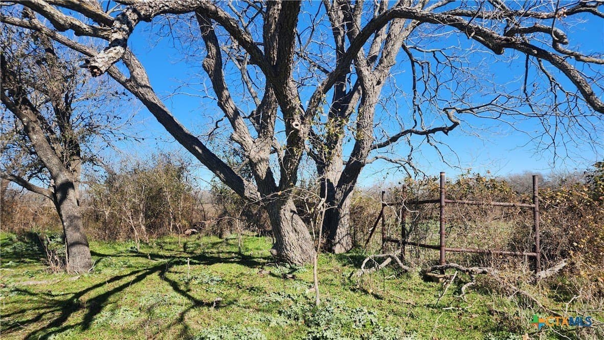 87 acres in Bell County - photo 24