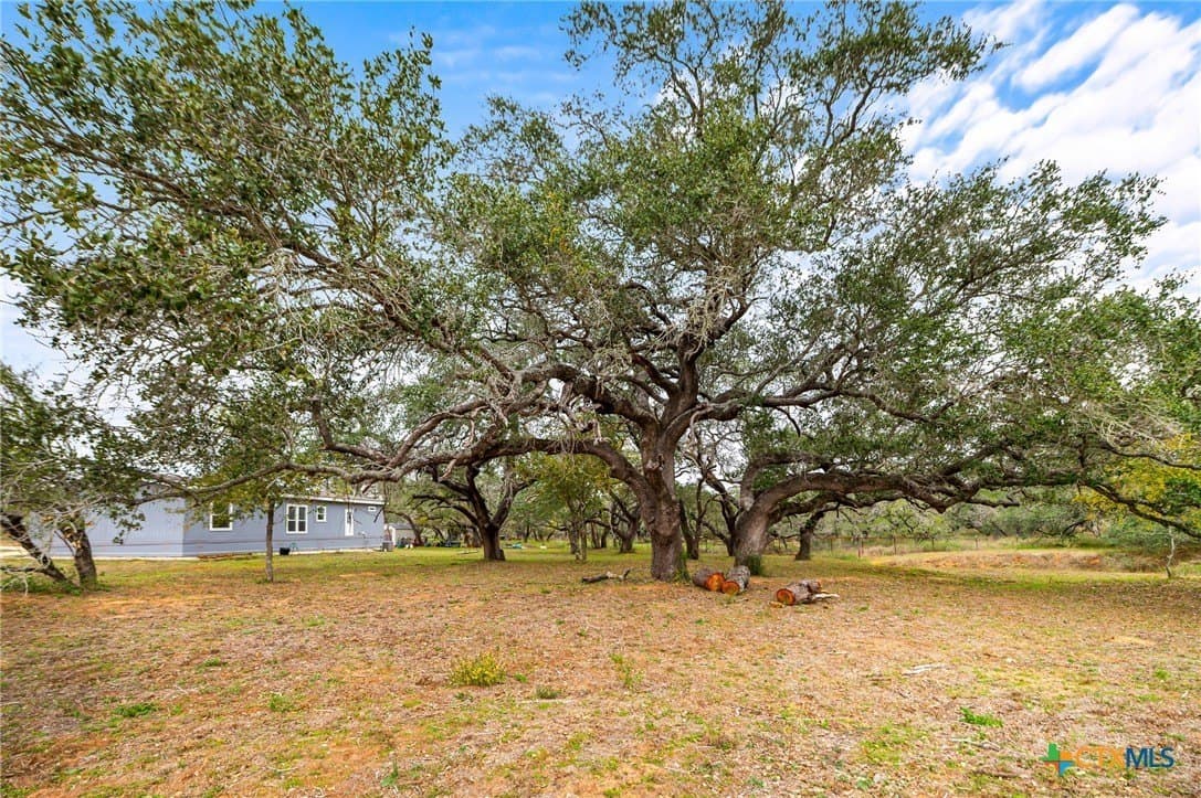 20 acres in Wilson County - photo 6