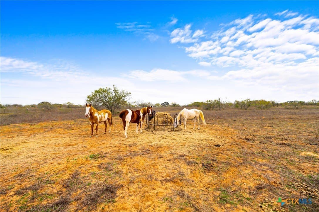 20 acres in Wilson County - photo 30