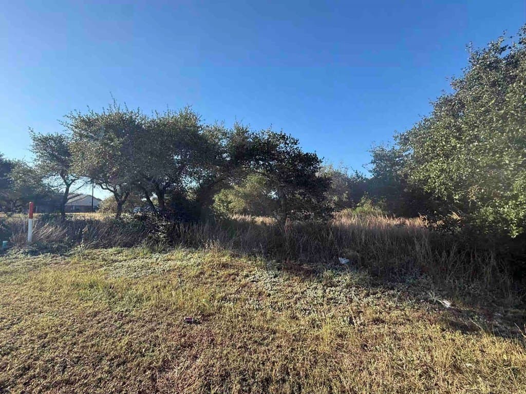 0 acres in Texas County - photo 4
