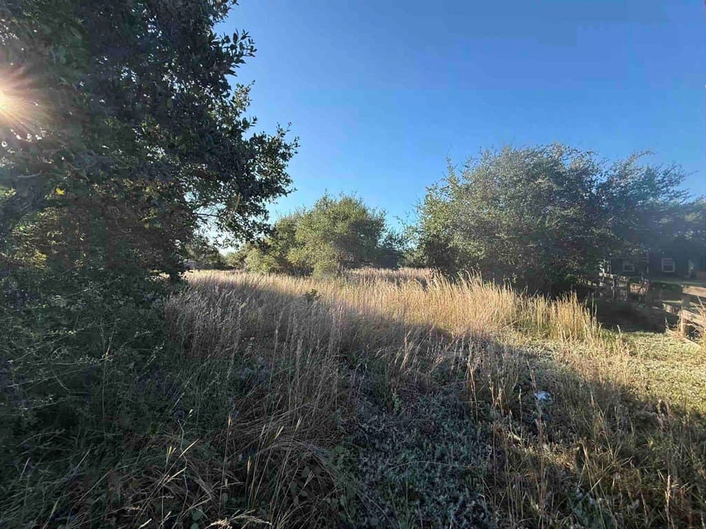 0 acres in Texas County - photo 3