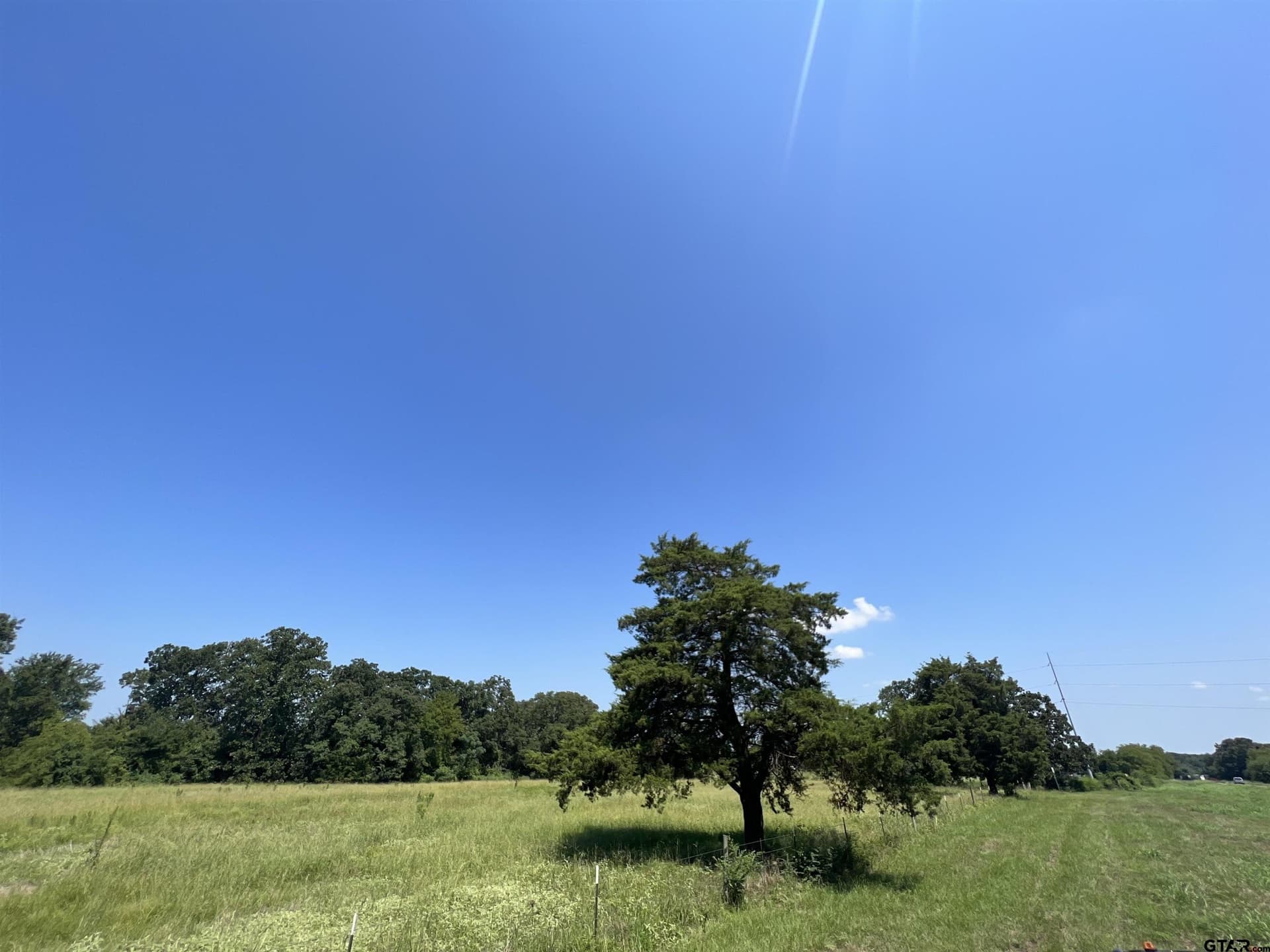 10 acres in Titus County - photo 5