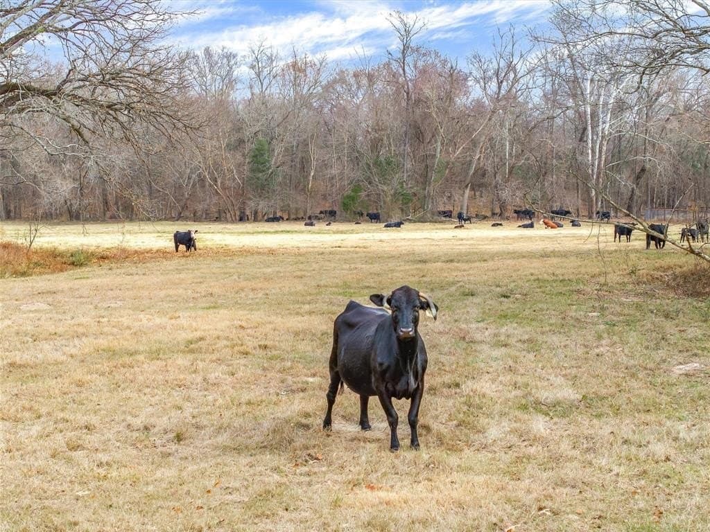 208.23 acres in Wood County - photo 40