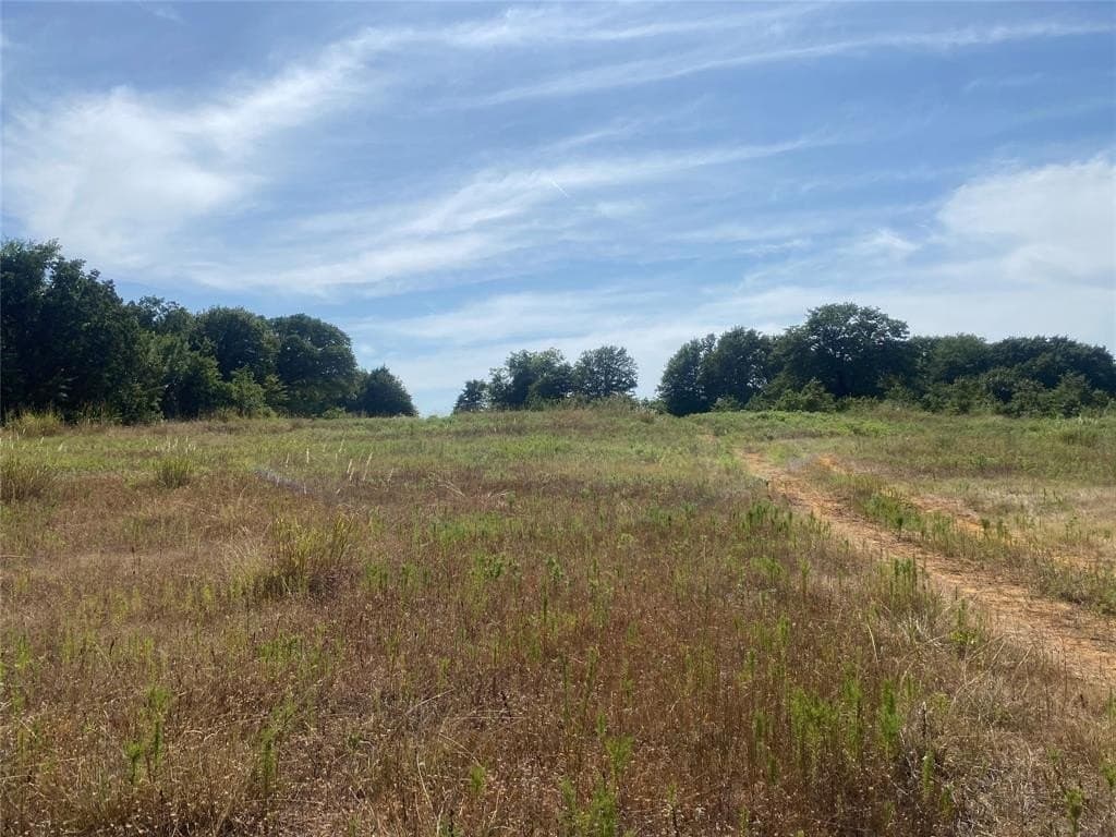 10.99 acres in Johnson County - photo 6