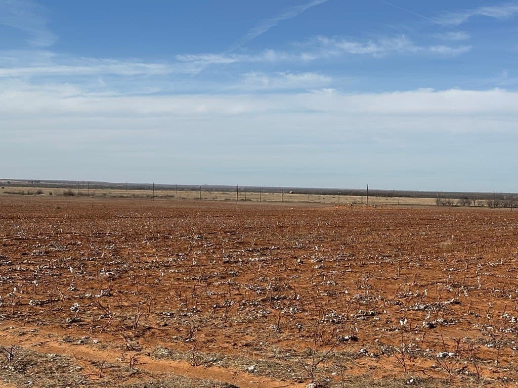 160.3 acres in Mitchell County - photo 4