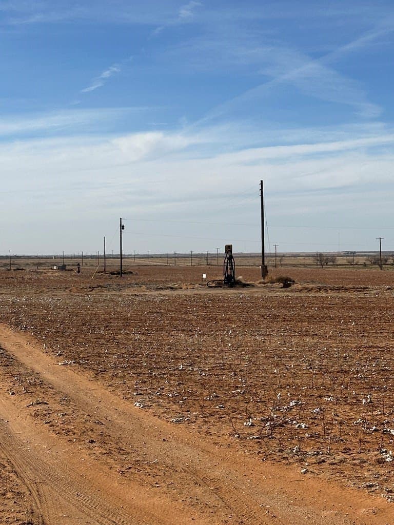160.3 acres in Mitchell County - photo 3